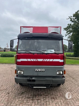 Iveco 2-paards paardenvrachtwagen Photo 3