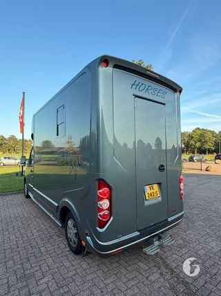 ROELOFSEN PARADOS SPORT 2-paards paardenwagen Photo 10