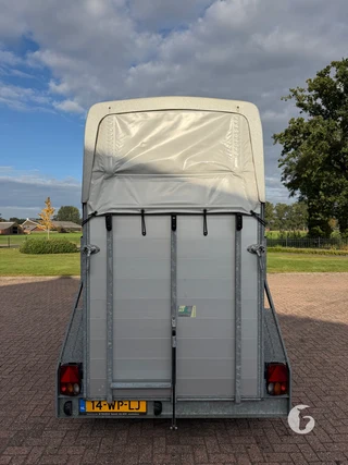 WEIJER W2 1,5-paards paardentrailer Photo 5