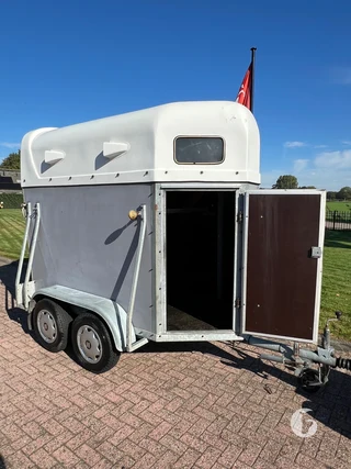 VIJF STERREN 1300 1,5-paards paardentrailer Foto 3