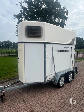 WESCO PVT 1,5-paards paardentrailer foto 4