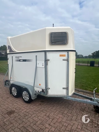 WESCO PVT 1,5-paards paardentrailer