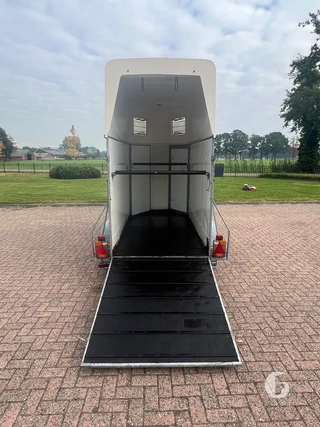 WESCO PVT 1,5-paards paardentrailer foto 7