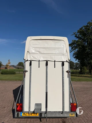 WEIJER W2000F 1,5-paards paardentrailer Photo 5