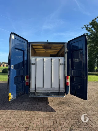FIAT DUCATO 2-paards paardenwagen Foto 12