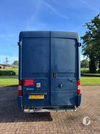 FIAT DUCATO 2-paards paardenwagen Foto 11