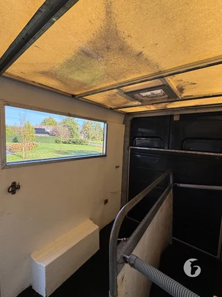 FIAT DUCATO 2-paards paardenwagen Foto 8