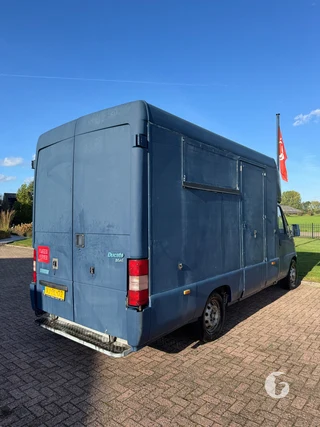 FIAT DUCATO 2-paards paardenwagen Foto 10