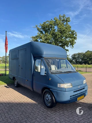 FIAT DUCATO 2-paards paardenwagen Foto 4