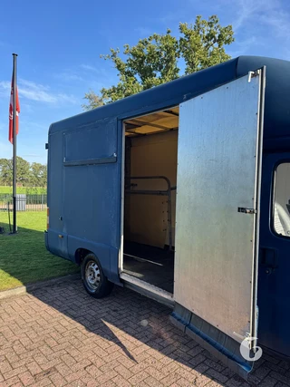 FIAT DUCATO 2-paards paardenwagen Foto 6