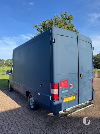 FIAT DUCATO 2-paards paardenwagen Foto 9