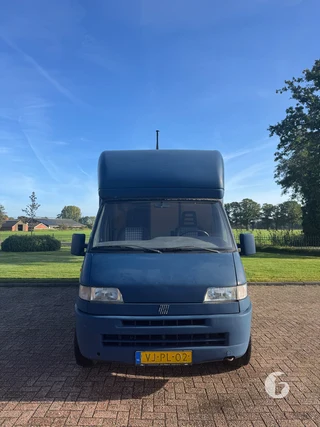 FIAT DUCATO 2-paards paardenwagen Foto 3
