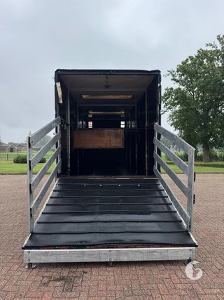 MAN 2-paards paardenvrachtwagen Foto 9