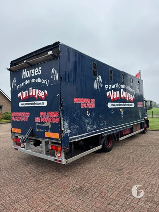 MAN 2-paards paardenvrachtwagen Foto 6