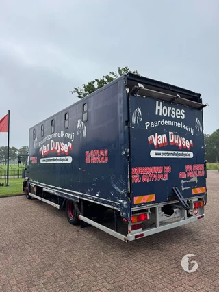 MAN 2-paards paardenvrachtwagen Foto 5
