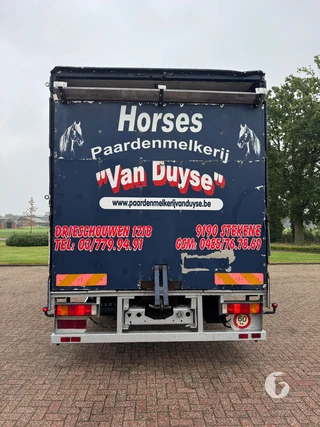 MAN 2-paards paardenvrachtwagen Foto 7