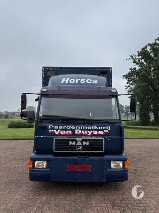 MAN 2-paards paardenvrachtwagen Foto 3