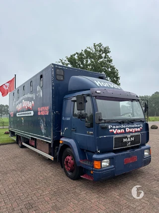 MAN 2-paards paardenvrachtwagen Foto 4