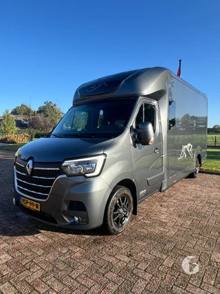 STX MASTER HORSEBOX 2-paards paardenwagen