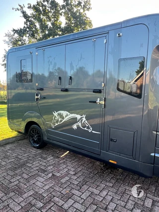 STX MASTER HORSEBOX 2-paards paardenwagen Foto 5
