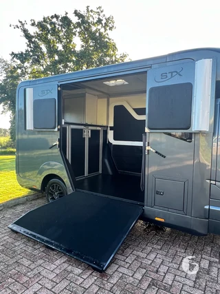 STX MASTER HORSEBOX 2-paards paardenwagen Foto 7