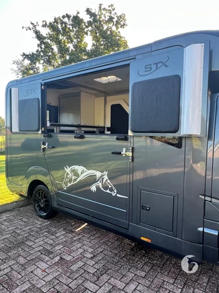 STX MASTER HORSEBOX 2-paards paardenwagen Foto 6