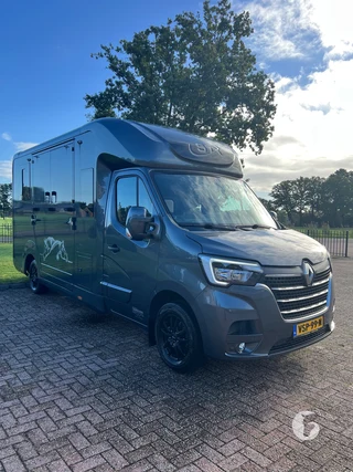 STX MASTER HORSEBOX 2-paards paardenwagen Foto 4