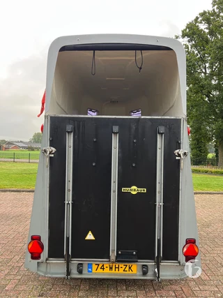 HUMBAUR SINGLE 1600 HG 1,5-paards paardentrailer foto 6