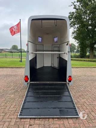 HUMBAUR SINGLE 1600 HG 1,5-paards paardentrailer foto 7