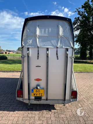 Böckmann PHA-P-V-305130/160 1,5-paards paardentrailer foto 5