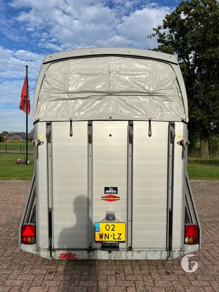 Böckmann PHA-P-V-305165/200 2-paards paardentrailer foto 6