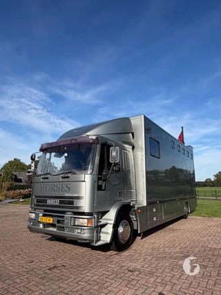 IVECO ML150E18R/P 2-paards paardenvrachtwagen Foto 4