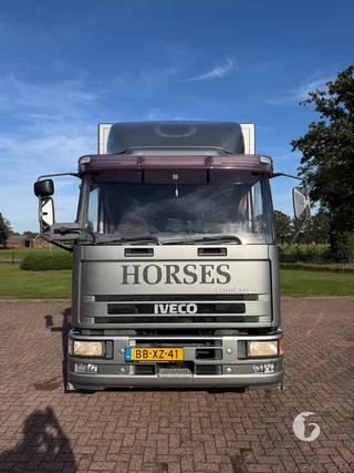 IVECO ML150E18R/P 2-paards paardenvrachtwagen Foto 3