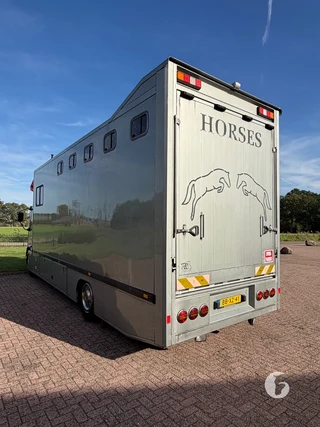 IVECO ML150E18R/P 2-paards paardenvrachtwagen Foto 12