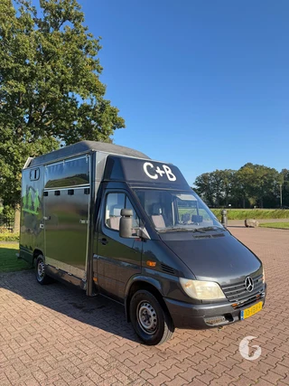 2-paards paardenwagen Photo 4